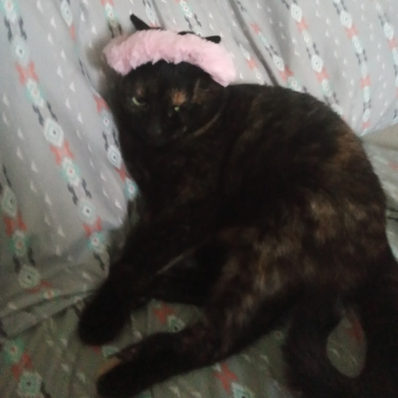 Meet your Posher, Saige - Picture 2 of 4